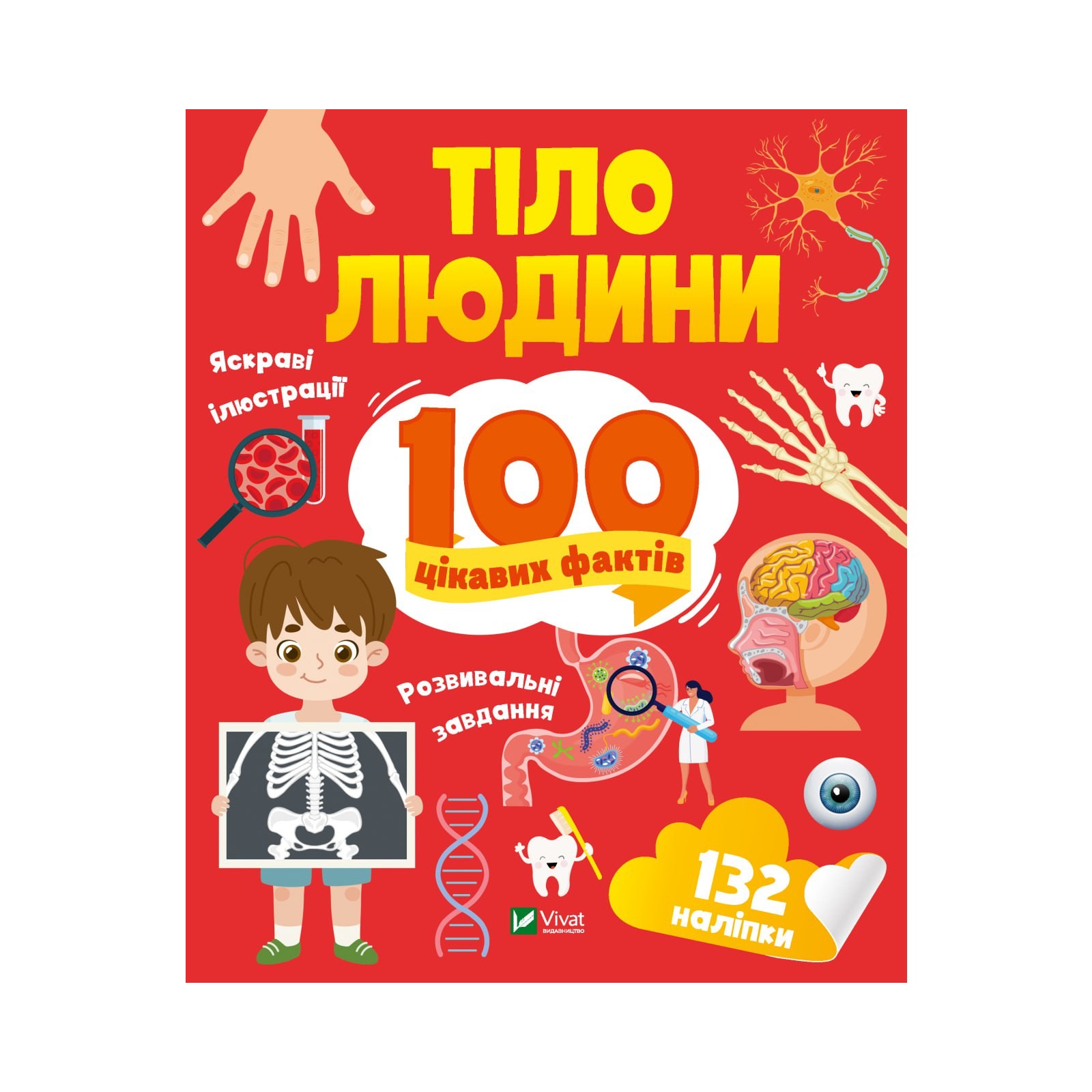 Тіло людини 100 цікавих фактів