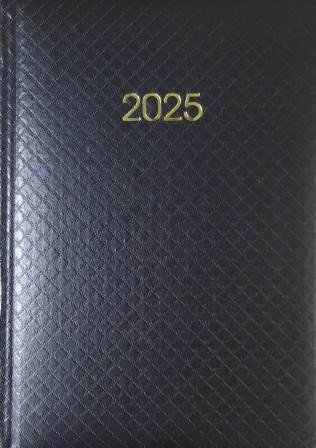 Щоденник датований Economix 2025 А5 Лінія чорний (E21609-01)