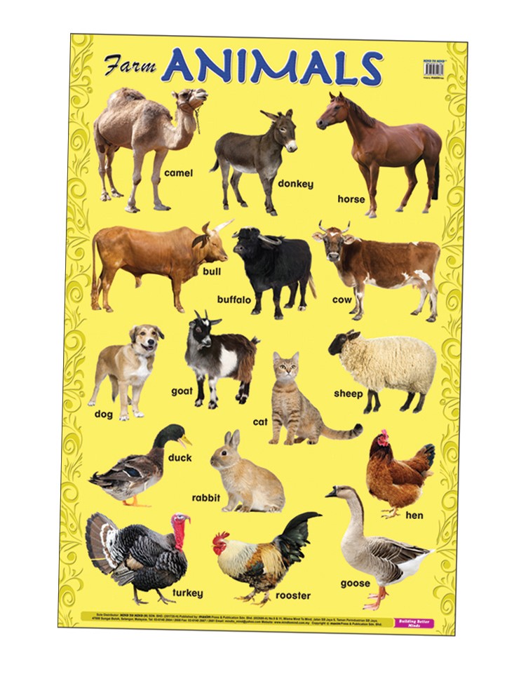 Плакат Farm Animals (ламінація)