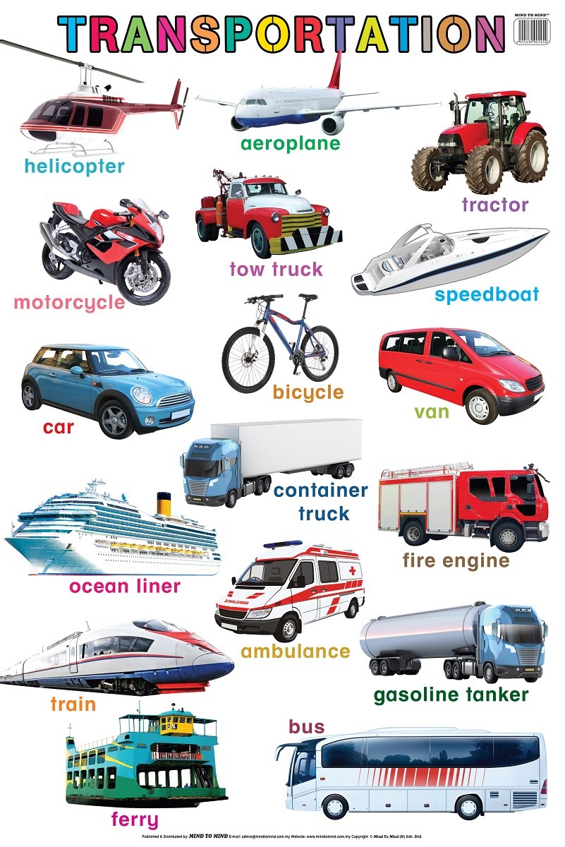 Плакат Transportation (ламінація)