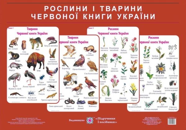 Рослини і тварини червоної книги України Комплект плакатів + методичні рекомендації