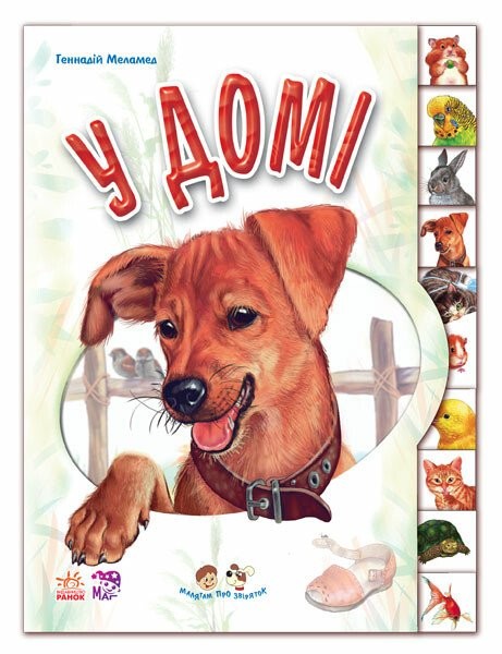 Малятам про звіряток У домі (з аудіосупроводом)