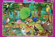 Puzzles Birds