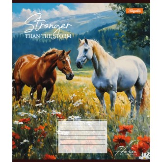 Зошит шкільний 12 аркушів коса лінія Stronger than the storm 1 Вересня