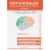 Организация коррекционно-развивающей работы с детьми с задержкой психического развития в заведении дошкольного образования Средняя группа