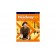 New Headway 5th Edition Pre-Intermediate Workbook with key.